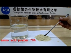 Polvere di Aminoacidi Composti 70% Purezza Estratti da Piante Biologiche