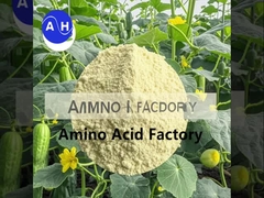 Idrolizzati di proteine di pesce per biostimolatore e potenziatore della crescita delle piante con NPK 15-1-1