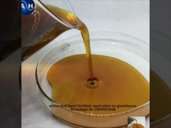 Fertilizzante liquido per alberi Spruzzo fogliare Borone chellato Calcio molibdeno