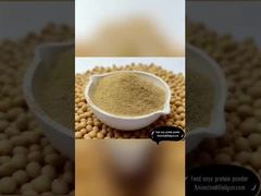 Supplemento proteico in polvere di lievito di birra secco per pollame e mangimi per animali