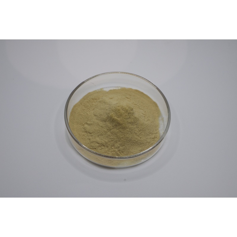 Ultimi blog aziendali su From Fermentation to Quality Testing: A Technical Guide to Evaluating 90% Fertilizer Grade Amino Acid Powder