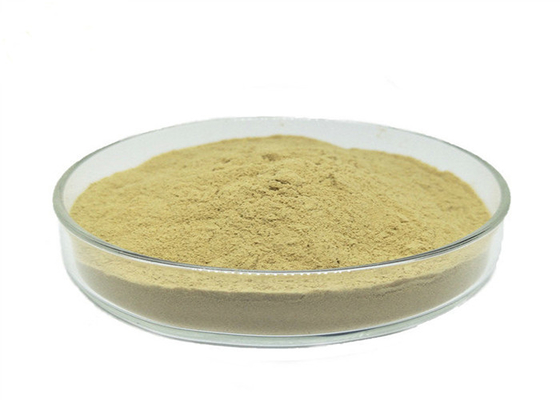 comprare Aminoacido organico 80% della polvere dell'azoto 13% per i cereali delle verdure online manufacture