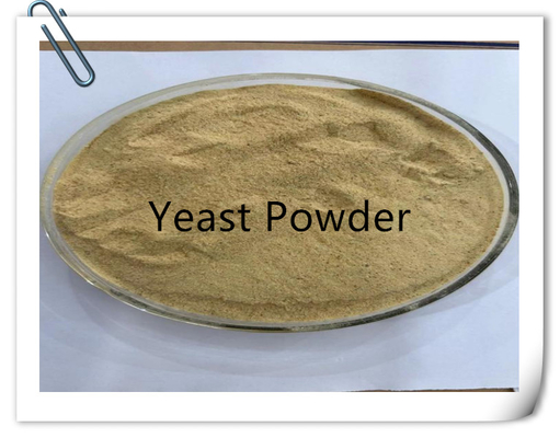comprare Lievito in polvere ad alto contenuto proteico di qualità alimentare con minerali online manufacture
