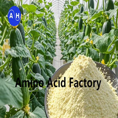 comprare REACH Proteine di soia idrolizzate registrate con aminoacidi 80% per campi da golf online manufacture