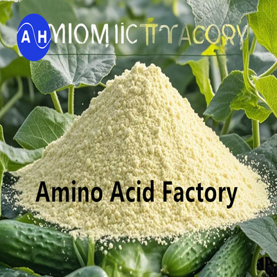 comprare Migliora l'assorbimento dei nutrienti e la resistenza allo stress con il fertilizzante per foglie online manufacture