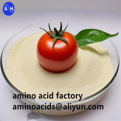 comprare Proteine vegetali idrolizzate Aminoacidi in polvere 90% con alto contenuto di istidina Per la nutrizione biologica delle piante online manufacture