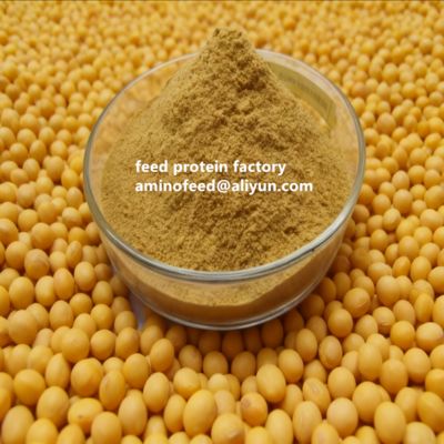 comprare Non-GMO Soy Protein Concentrate with 50% Protein Highly Digestible for Poultry and Aquatic Animals online manufacture