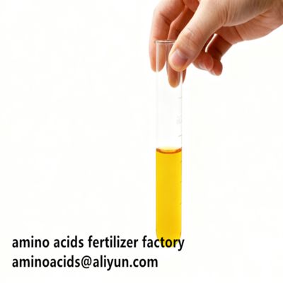 comprare Aminoacidi Vegetali Idrolizzati 80% in Forma Liquida per Agricoltura Biologica online manufacture
