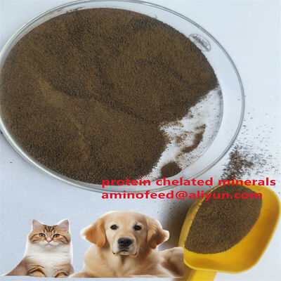 comprare Proteine animali Tipo di mangime di proteine batteriche micobatteriche Polvere di proteine batteriche con proteine grezze superiore al 70% fabbricazione online