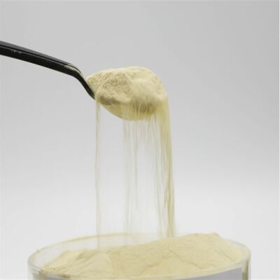 comprare Proteina di mais fonte di amminoacidi in polvere 85% amminoacidi liberi con processo di idrolisi enzimatica e 100% solubile in acqua fabbricazione online