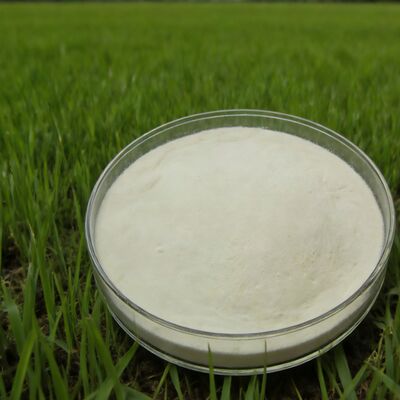 comprare Polvere di aminoacidi idrolizzati di mais all'85% per fertilizzanti agricoli fabbricazione online