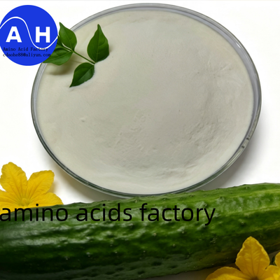 comprare Aminoacidi da Proteine di Mais all'80% con Tecnologia di Idrolisi Profonda, 100% Solubili in Acqua e da Fonte Non OGM fabbricazione online