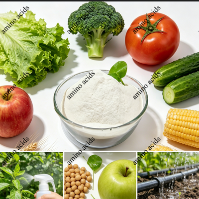 acquistare 100% Water Soluble Amino Acid Powder 80% from Non-GMO Soybean Meal for Fertilizer Formulation fabbricazione online