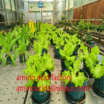 acquistare Fertilizzante liquido a base di amminoacidi derivati da soia non OGM con 400 g/L di amminoacidi liberi e formula completamente solubile in acqua fabbricazione online