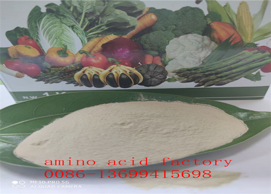 comprare Proteina di soia idrolizzata 80% dell'aminoacido con la registrazione di PORTATA online manufacture