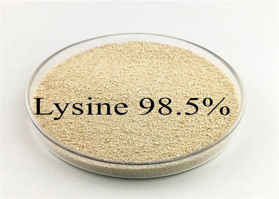 Additivo alimentare animale L HCl del maiale del pollo del pollame del bestiame della L-lisina della lisina 98,5%