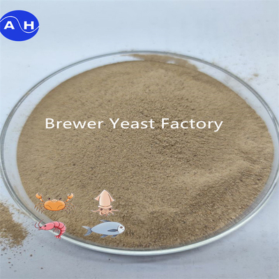 Lievito secco ad alta attività per migliorare la salute digestiva con Saccharomyces Cerevisiae
