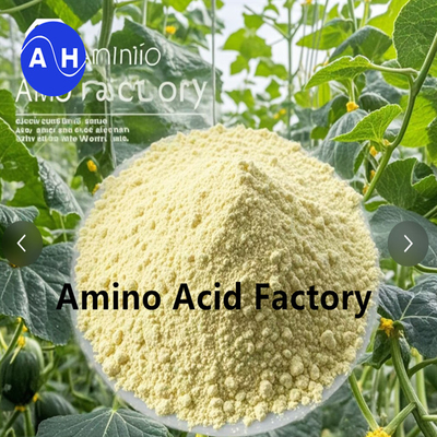 Aminoacidi liberi idrolizzati all'80% come materia prima per la produzione di fertilizzanti organici