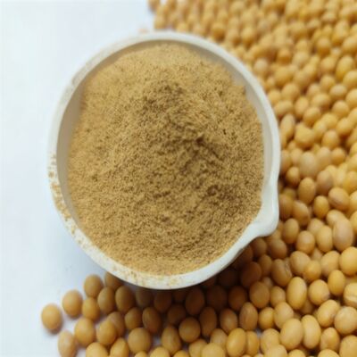 Aminoacidi Additivi per mangimi Proteine grezze con elevata digeribilità della pepsina per l'alimentazione completa degli animali