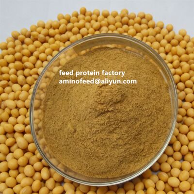 Polvere di proteine di farina di soia idrolizzata non OGM con CP50% polvere gialla chiara per sostituire la farina di pesce