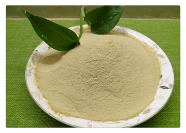 L'albero dell'uva/l'aminoacido organico del fertilizzante albero da frutto ha chelatato i minerali
