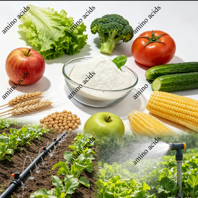 nome